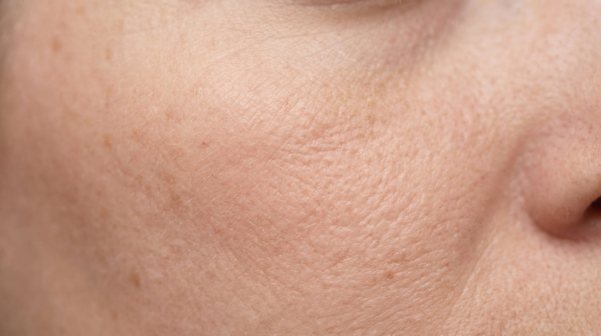 The Science of Wrinkles and the Ageing Process
